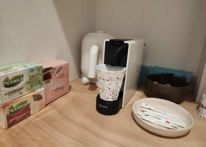 Δωμάτια σε οικογενειακή κατοικία Luxury With Private Bathroom On Great Location. Άμστερνταμ